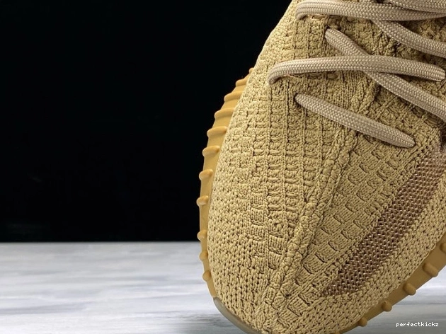 V2 350 Boost FX9033 Adidas Earth Yeezy 0819
